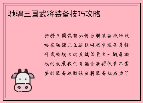 驰骋三国武将装备技巧攻略